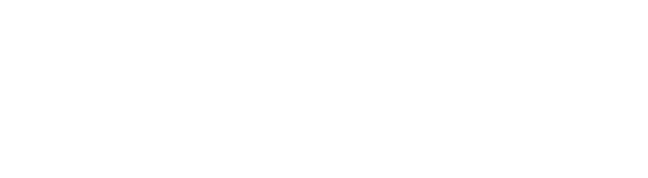 TouchPro International